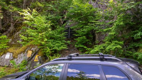 07/10/22 - Along The River - IMG_2495.JPG