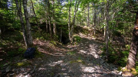 Minesville Adit / Shanghai Workings photo 2