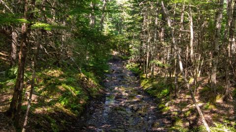 07/09/22 - Picturesque Adit - IMG_2443.JPG