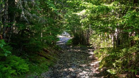 07/09/22 - Picturesque Adit - IMG_2447.JPG