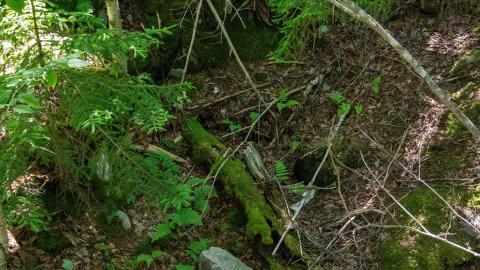 07/09/22 - Picturesque Adit - IMG_2448.JPG