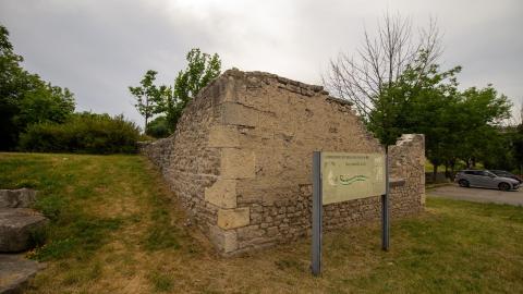 07/01/22 - Barradell's Loft - IMG_2262.JPG