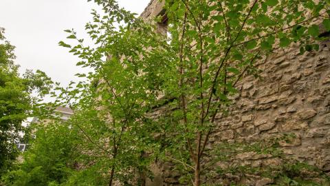 07/01/22 - Barradell's Loft - IMG_2267.JPG