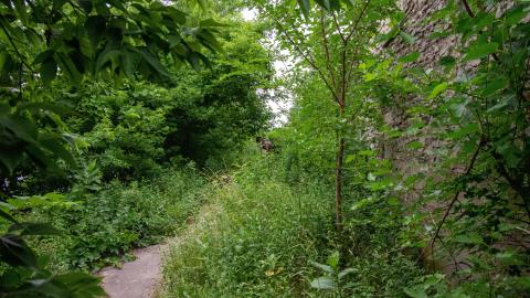 07/01/22 - Barradell's Loft - IMG_2268.JPG