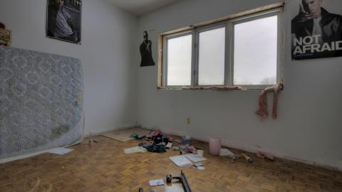 2019 - Collages8.jpg