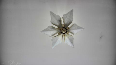 2019 - Collages9.jpg