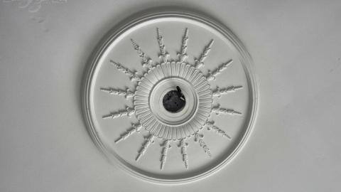 2019 - Collages15.jpg