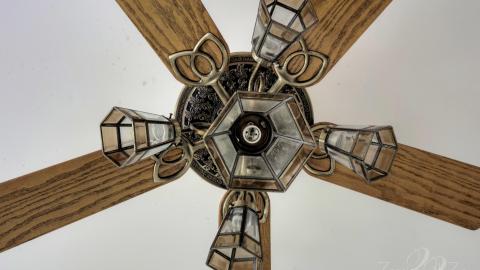 2019 - Collages24.jpg