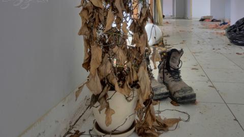 2019 - Collages30.jpg