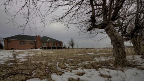 2019 - Collages35.jpg