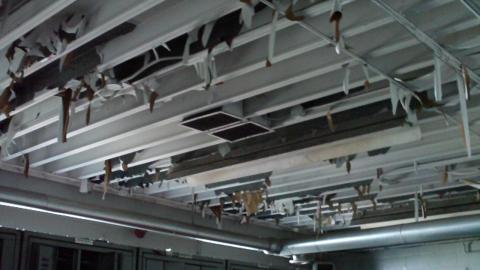 Crappy Photos From Way Back When - September 2012 - HPIM0594.JPG