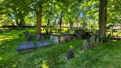 07/12/22 - Unexpectedly Peaceful - 20220712_151519.JPG