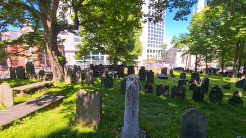 07/12/22 - Unexpectedly Peaceful - 20220712_151749.JPG