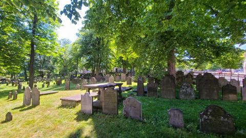 07/12/22 - Unexpectedly Peaceful - 20220712_152056.JPG