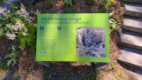 07/12/22 - Unexpectedly Peaceful - 20220712_152458.JPG