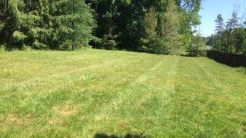 any time now - thumbnail_IMG_34431.jpg