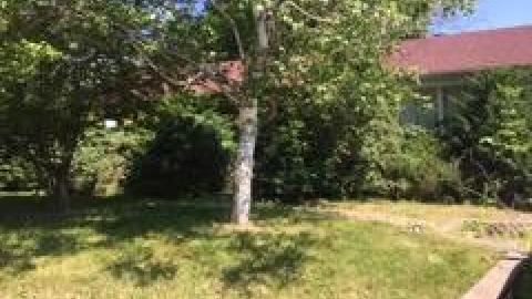 any time now - thumbnail_IMG_34481.jpg