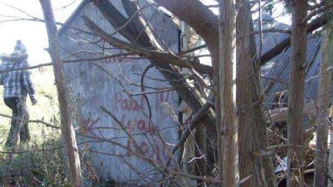 Gallery - Barn-Style-Shed33.jpg