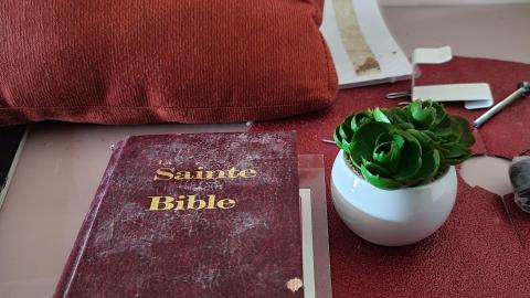 Over night - 20220723_093341.jpg