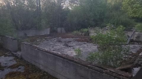 Flynn's Turn Farm - 20220518_205516.jpg