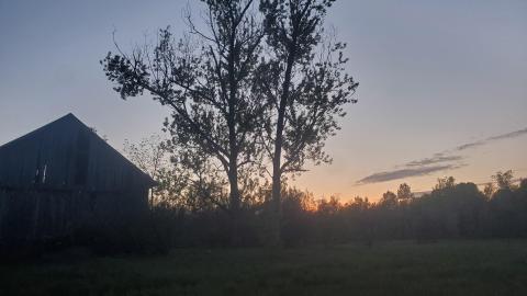 Flynn's Turn Farm - 20220518_205216.jpg