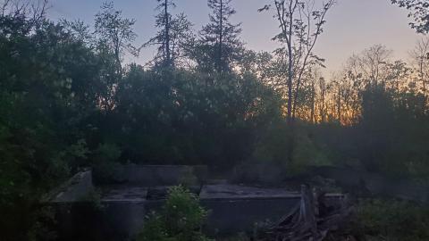 Flynn's Turn Farm - 20220518_205341.jpg