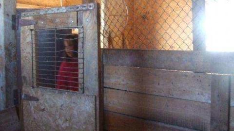 Gallery - Barn-Style-Shed37.jpg