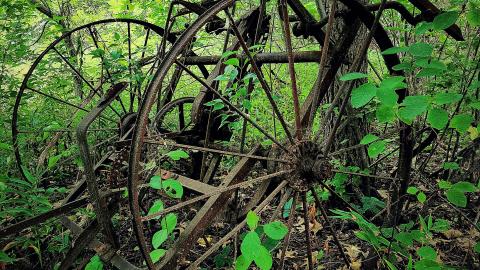 The Delaurier Homestead - aviary-image-1659269840731.jpeg