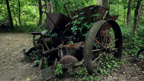 The Delaurier Homestead - aviary-image-1659269692373.jpeg
