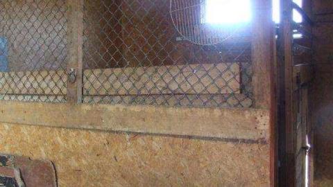 Gallery - Barn-Style-Shed39.jpg