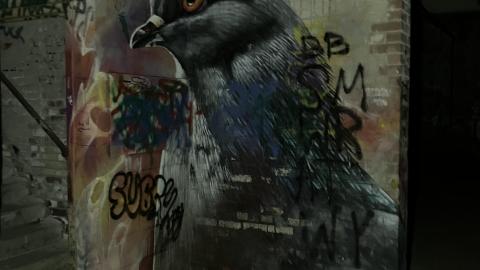 Decrepit - 0BD630AA-4F68-4F50-B5FA-3C96232563FA.jpeg