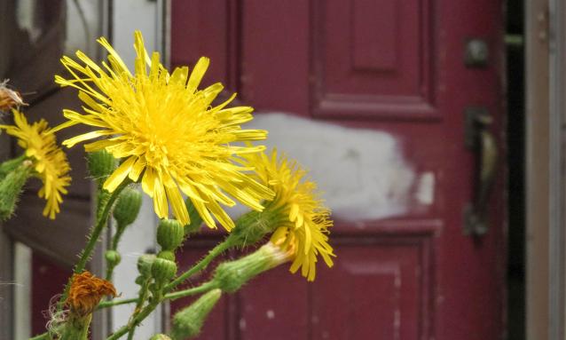 Discovery Visit (July 2022) - IMG_5395-4-X.jpg