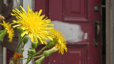 Discovery Visit (July 2022) - IMG_5395-4-X.jpg