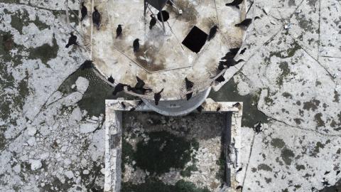 Photo from Two Flights To Gull Island - August 2022