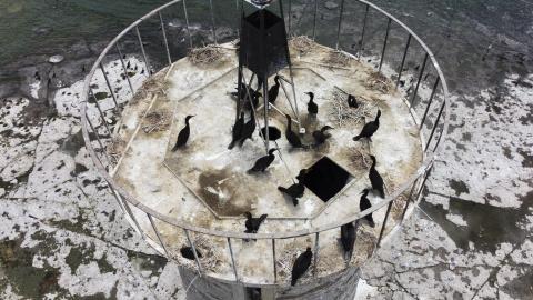 Two Flights To Gull Island - August 2022 - 6.jpg