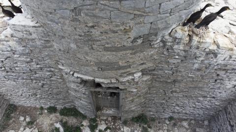 Two Flights To Gull Island - August 2022 - 10.jpg