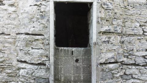 Photo from Two Flights To Gull Island - August 2022