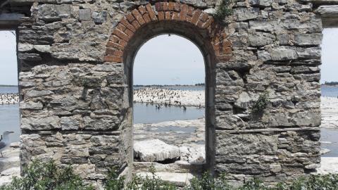 Two Flights To Gull Island - August 2022 - 13.jpg