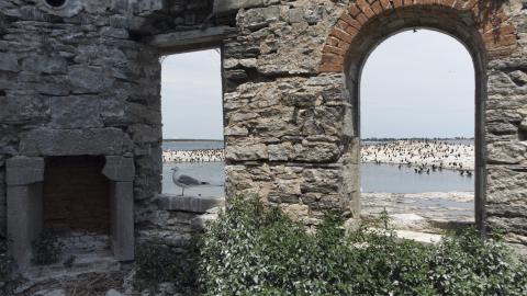 Two Flights To Gull Island - August 2022 - 16.jpg