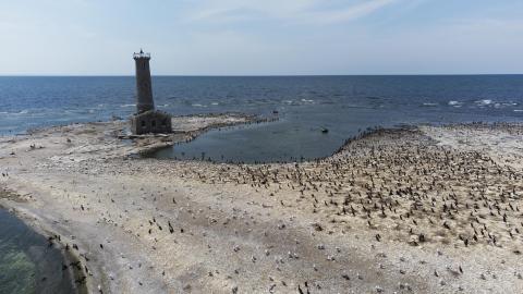 Two Flights To Gull Island - August 2022 - 22.jpg