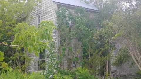 8410 Loyalist Pkwy - 20220731_172317_HDR.jpg