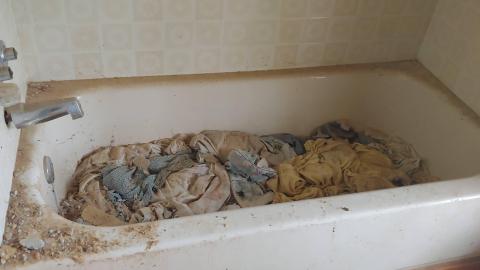 8410 Loyalist Pkwy - 20220731_171012_HDR.jpg