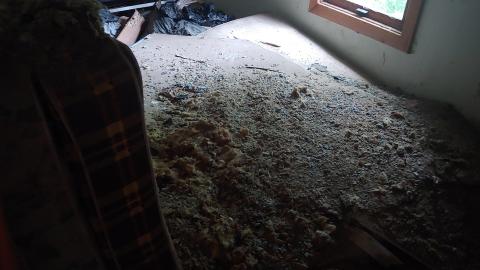 8410 Loyalist Pkwy - 20220731_170932.jpg