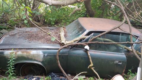 One of two cars next to house