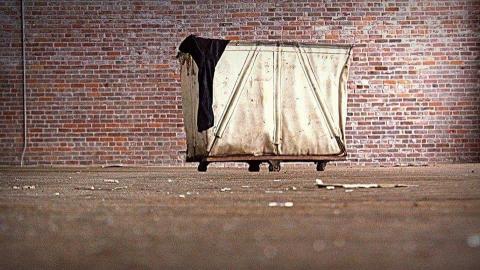 2015 - 26992746_1111117175696733_2027805983712147777_n.jpg