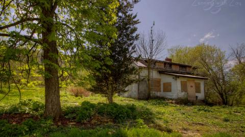 2019 - Collages38.jpg