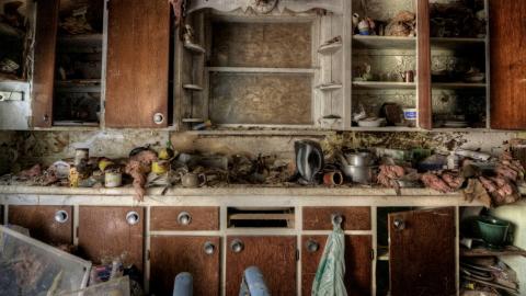 2019 - Collages4.jpg