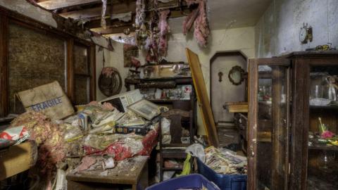 2019 - Collages7.jpg