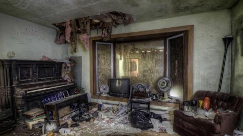 2019 - Collages18.jpg