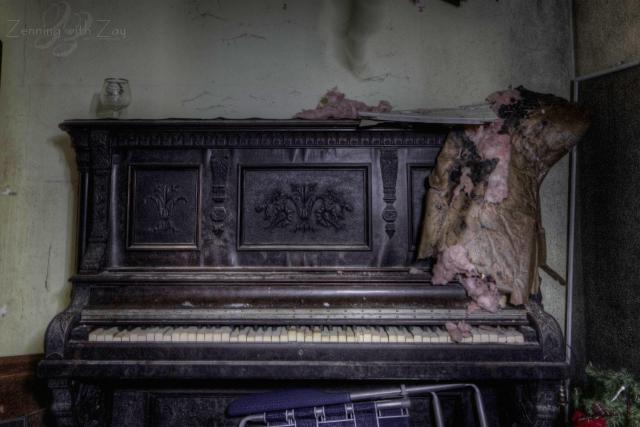 Dusty Pictures & Decrepit Floors photo 3